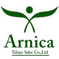 آرنیکا