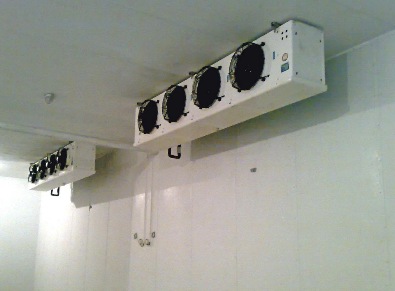 تونل انجماد