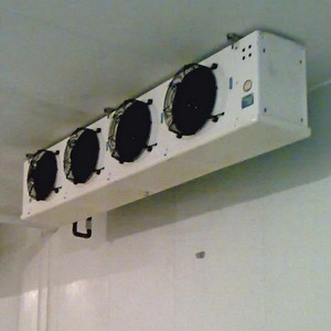 تونل انجماد